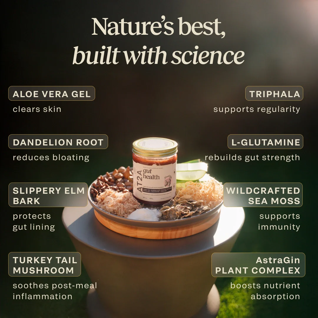 AT2A Daily Gut Support — Clinically Proven with AstraGin