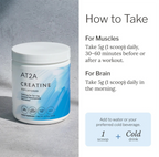 AT2A Creatine